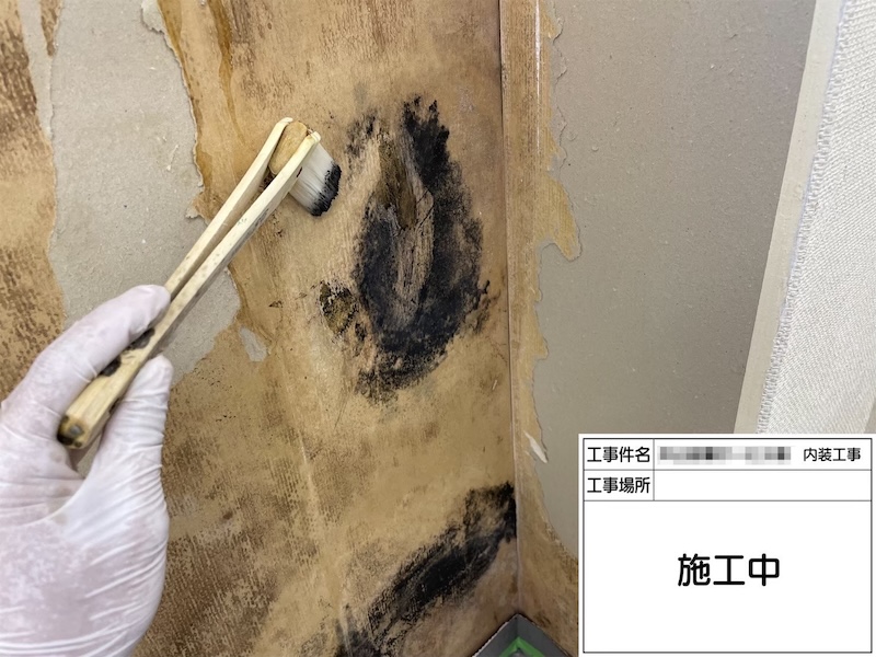 大阪府堺市｜壁に発生したカビを除去しました