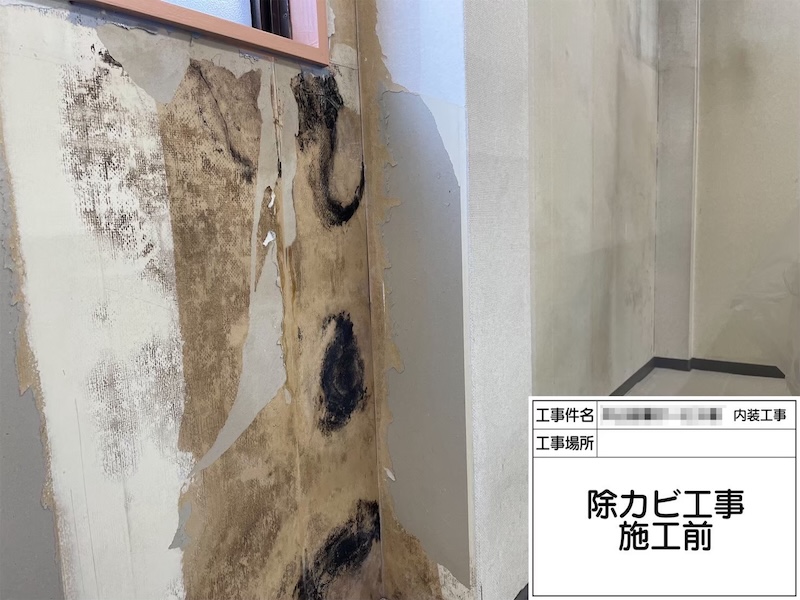 大阪府堺市｜壁に発生したカビを除去しました